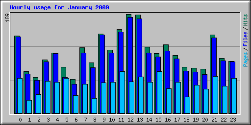 Hourly usage for January 2009