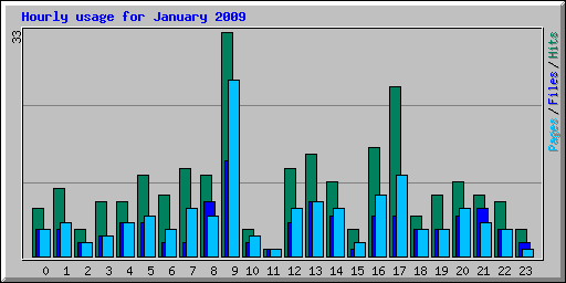 Hourly usage for January 2009