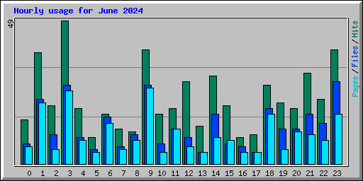 Hourly usage for June 2024