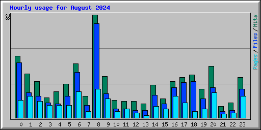 Hourly usage for August 2024