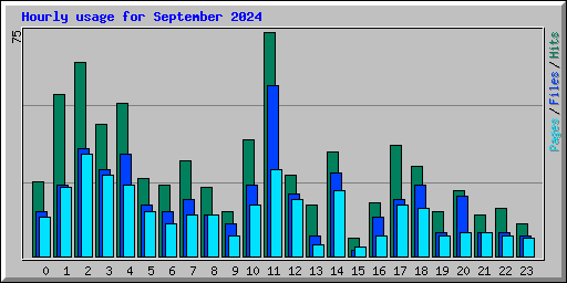 Hourly usage for September 2024