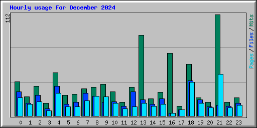 Hourly usage for December 2024