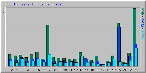 Hourly usage for January 2025