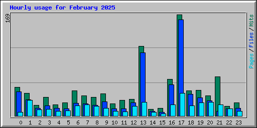 Hourly usage for February 2025