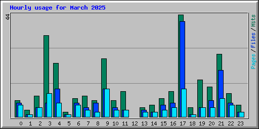 Hourly usage for March 2025