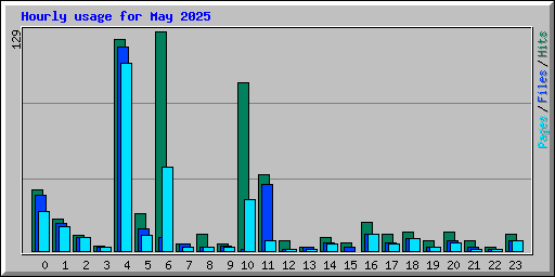 Hourly usage for May 2025