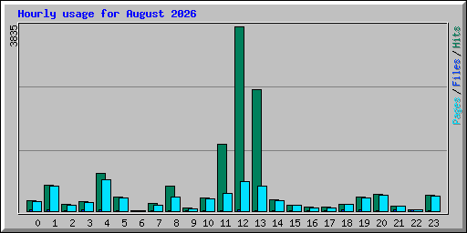 Hourly usage for August 2026