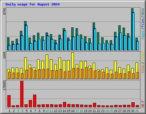 Daily usage for August 2024