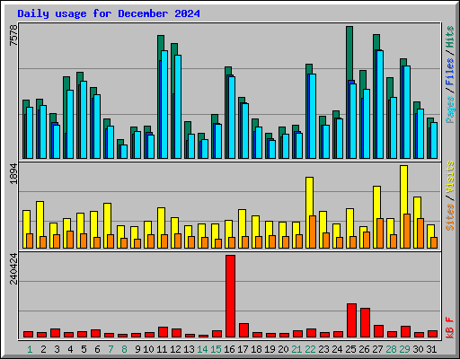 Daily usage for December 2024