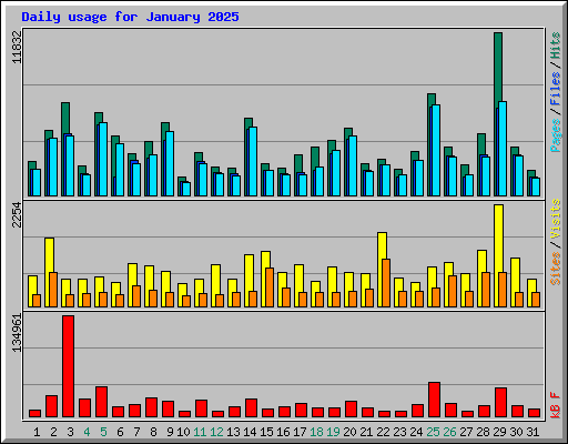 Daily usage for January 2025