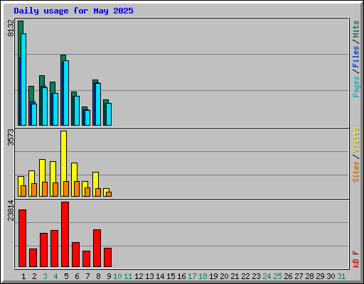 Daily usage for May 2025