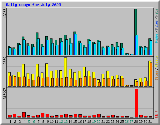 Daily usage for July 2025