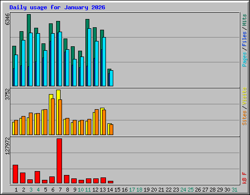 Daily usage for January 2026