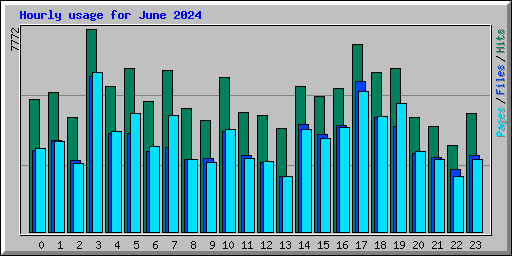 Hourly usage for June 2024