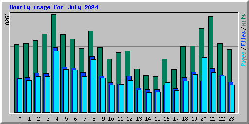 Hourly usage for July 2024