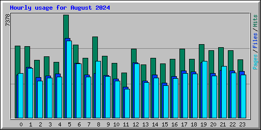 Hourly usage for August 2024