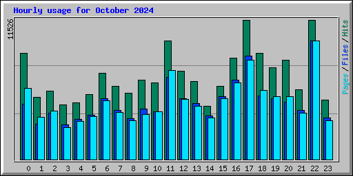 Hourly usage for October 2024