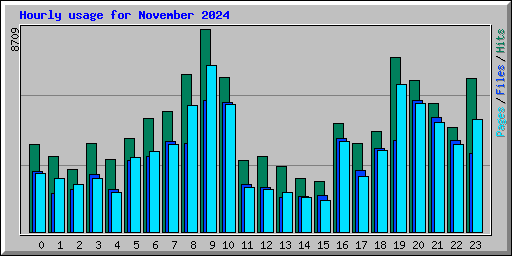 Hourly usage for November 2024