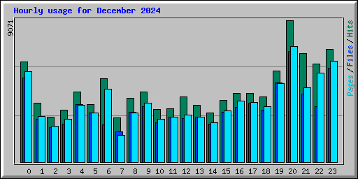 Hourly usage for December 2024