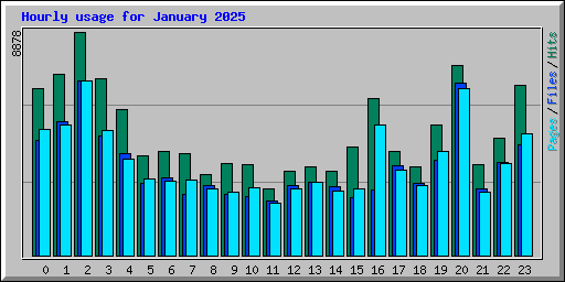 Hourly usage for January 2025