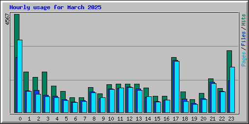 Hourly usage for March 2025