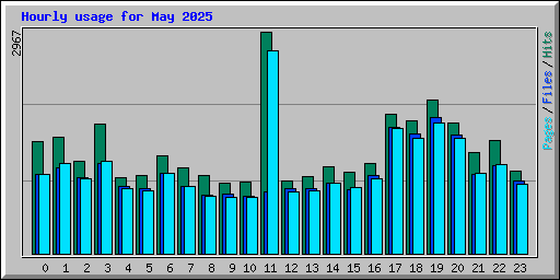 Hourly usage for May 2025