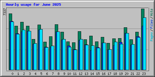 Hourly usage for June 2025
