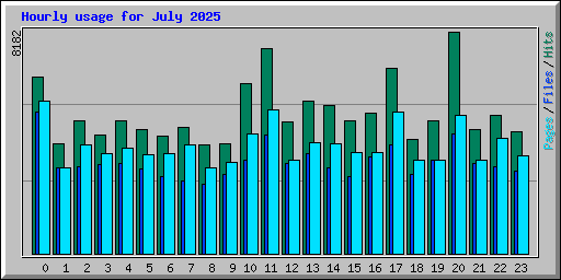 Hourly usage for July 2025