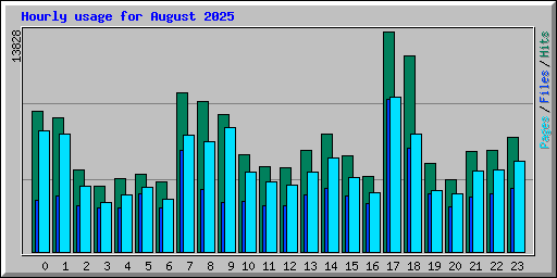 Hourly usage for August 2025