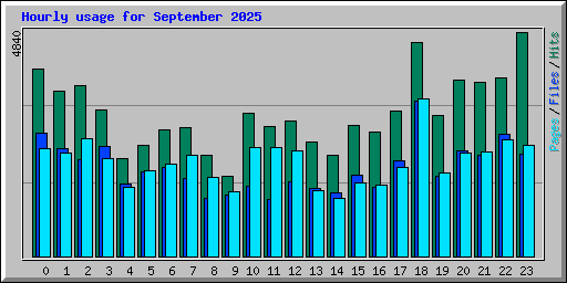 Hourly usage for September 2025