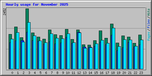 Hourly usage for November 2025