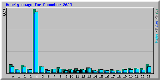 Hourly usage for December 2025