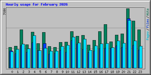 Hourly usage for February 2026