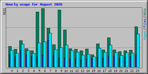 Hourly usage for August 2026