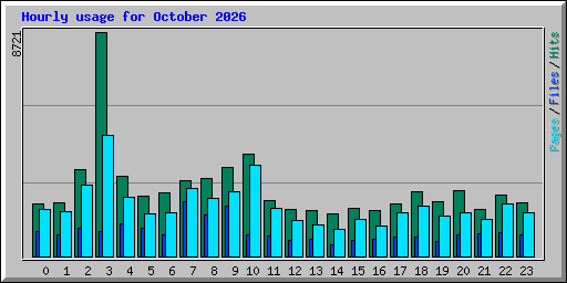 Hourly usage for October 2026
