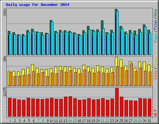 Daily usage for December 2024