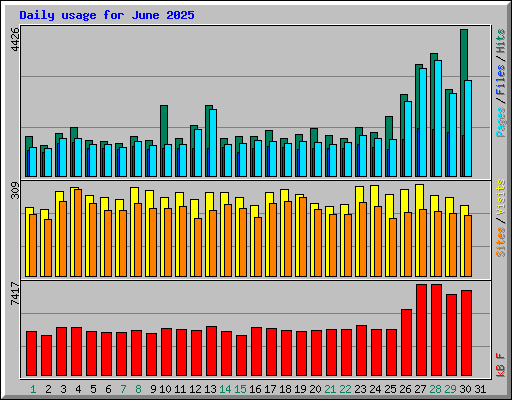 Daily usage for June 2025