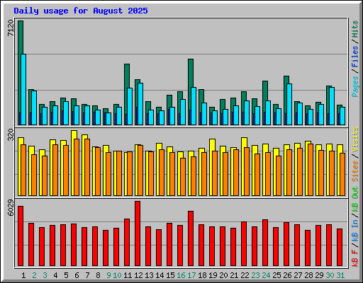 Daily usage for August 2025