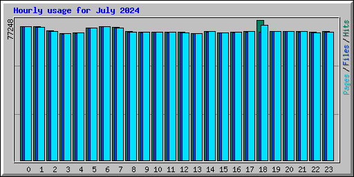 Hourly usage for July 2024