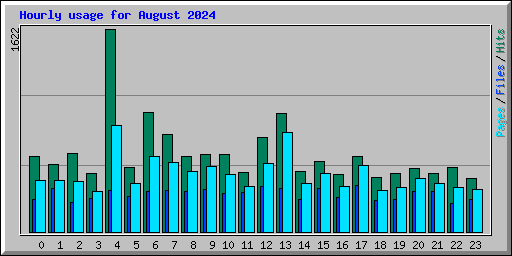 Hourly usage for August 2024