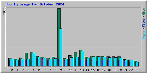 Hourly usage for October 2024