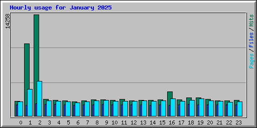 Hourly usage for January 2025