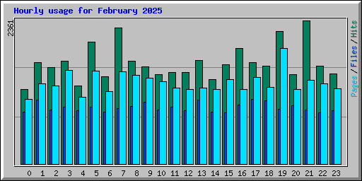 Hourly usage for February 2025