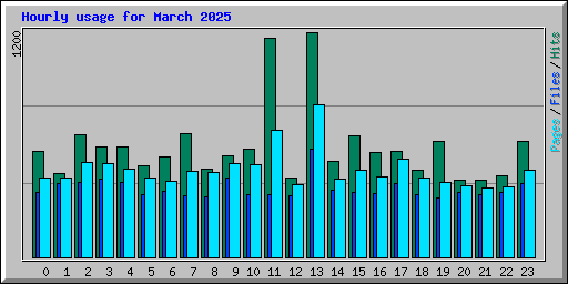 Hourly usage for March 2025