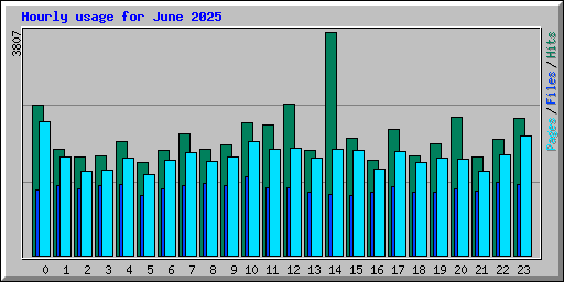 Hourly usage for June 2025