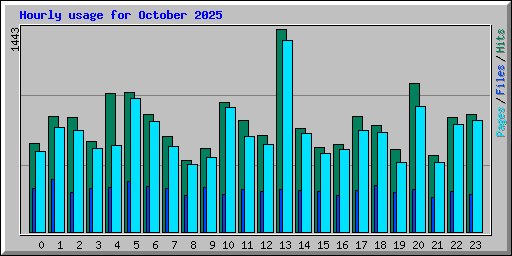 Hourly usage for October 2025